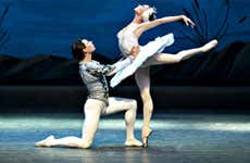 Guida di San Pietroburgo